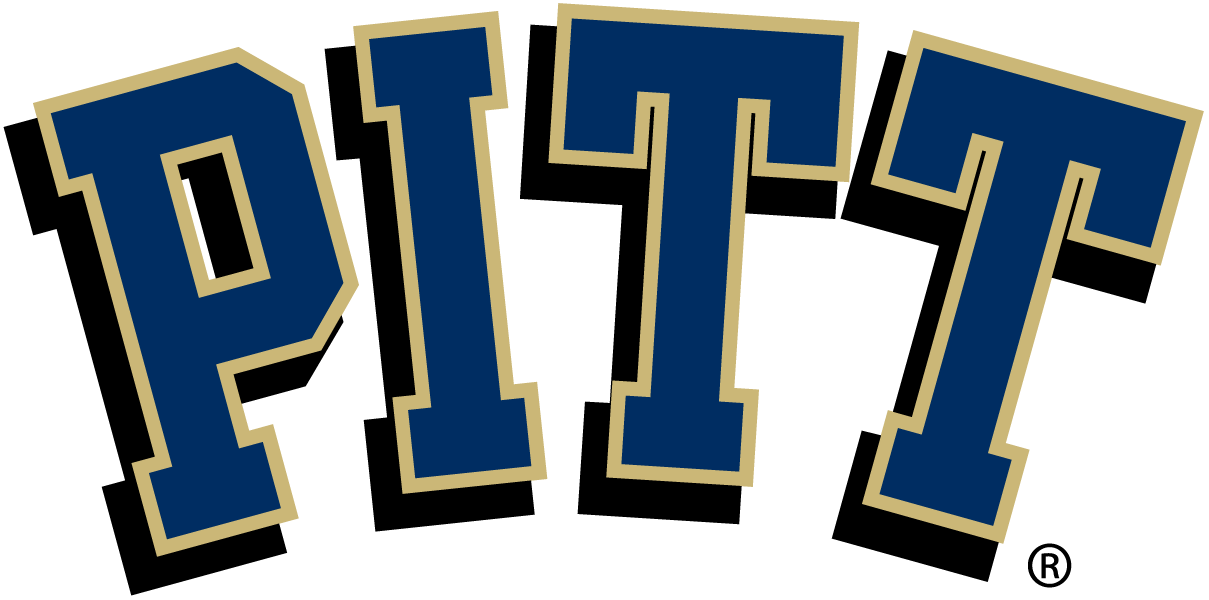 Pittsburgh Panthers 2005-Pres Primary Logo DIY iron on transfer (heat transfer)